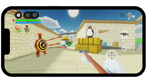 Chicken Gun R