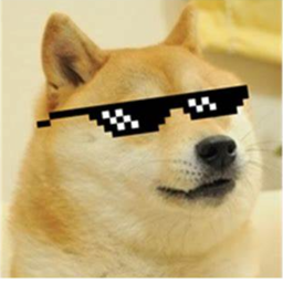 Real Doge hangout