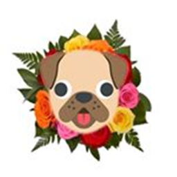 The Offical Pug. Group's  fan game