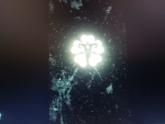 BlackClover242
