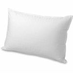 Cult Of Pillows