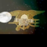 USM Navy SEALs History.