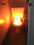 toilet peopIe