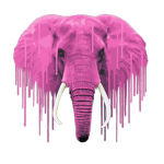 $PinkElephant$