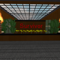 {SGS} Survivor!