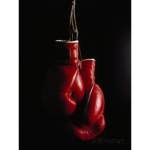 TEAM ICY (BOXING)