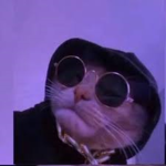 FINE-DDY$