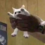 zussy