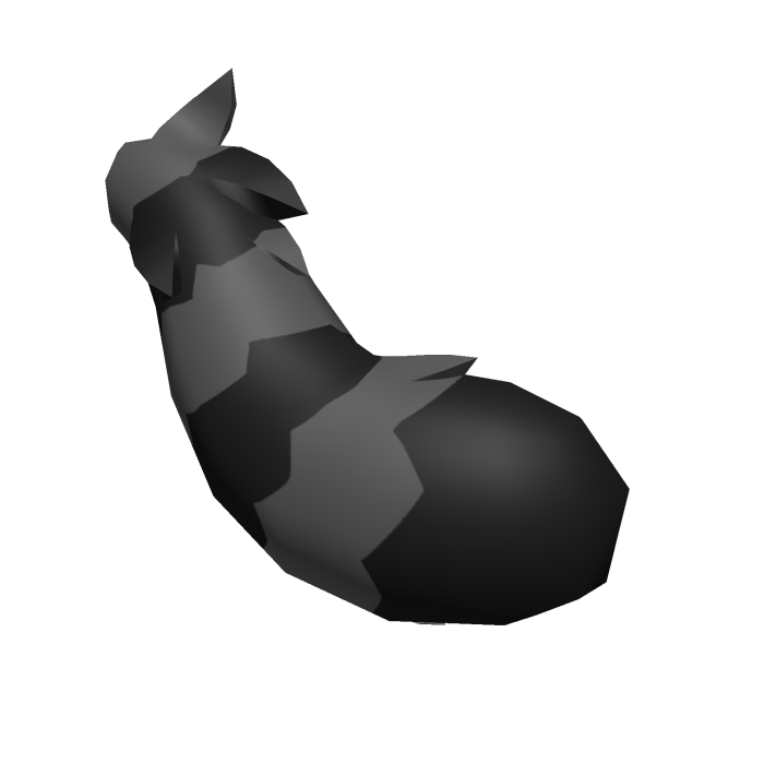 Raccoon Tail