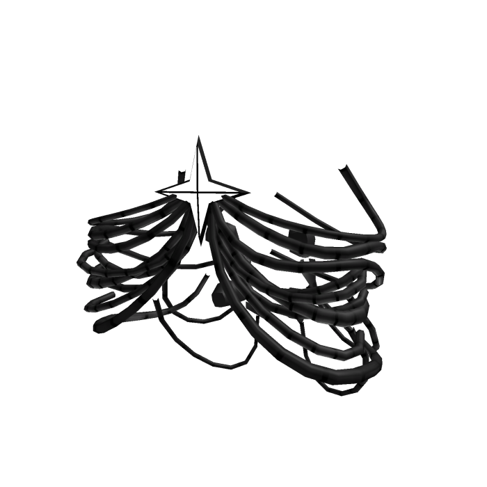 Void Star Chest Wires [SR]