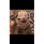 AubreeVibes1