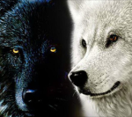 The wolf boys B