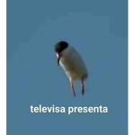 Ola prros este es mi grupo de ok :)