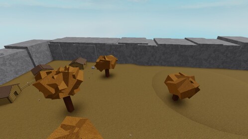 A test