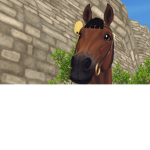 Chilli The Pony