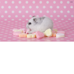 Kawaii ### #####