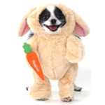 Bunny and doggy!!