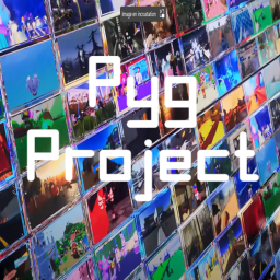P y g  Project