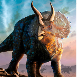 Les Tricératops, musée