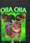 Oiia cat official group