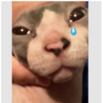 Bin_gus