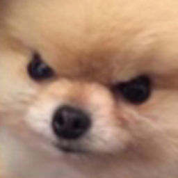 TWS Legacy icon