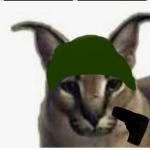 Floppa war