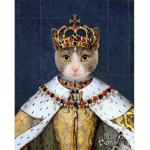 cat kingdoms