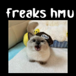 Freaky boy club