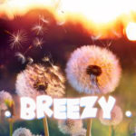 • Breezy •