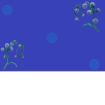 BlueBlueberry