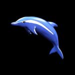 DolphinTerritory