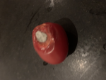 ୨୧.