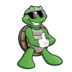 Turtle sea