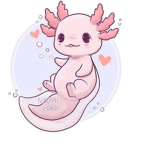 axolotl_ bucket