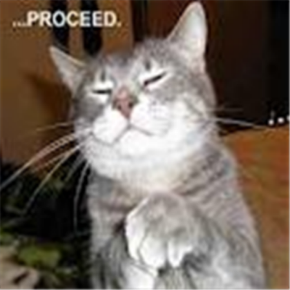 Funny Cat Roblox decal