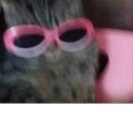 |~Oof Gang~|