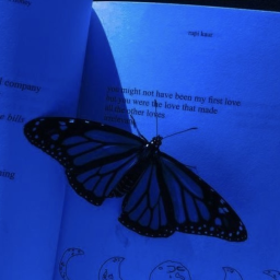 ✧