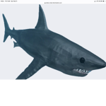 Sharks friends