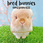 bred bunnies
