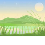 Majestics Rice Field