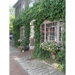 La Boutique De Nathaniel