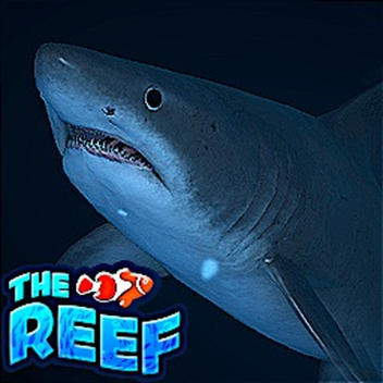 🦈 Tydzień rekinów 🦈 | 🐠 Rafa 🐠