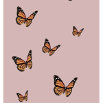 •butterfly homestore•