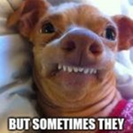 yo doug