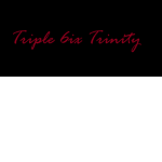 Ｔｈｅ Ｔｒｉｐｌｅ６ｉｘＤｅｍｏｎｚ