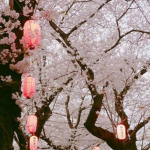 Japan⁓Vibes