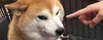 SamongpeaQ