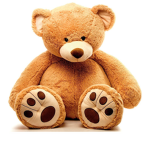 The Teddy Bear Squa