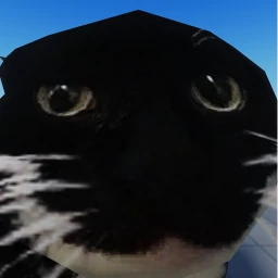 I cat the maxwell :) icon